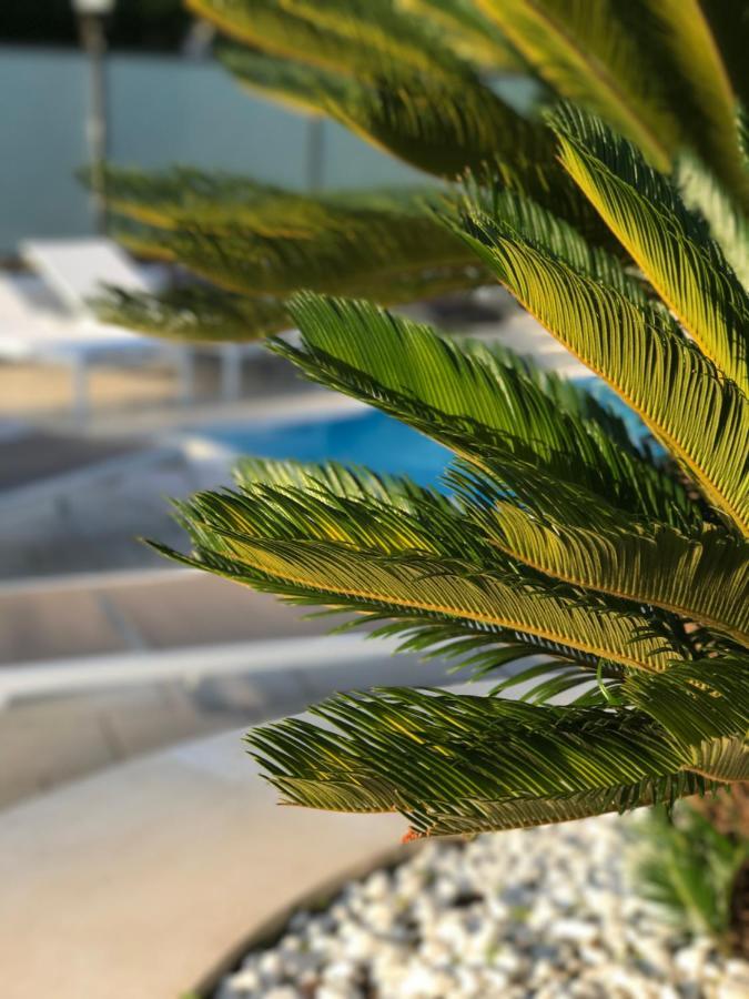 Path House - Etna & Sea View Riposto Exterior foto