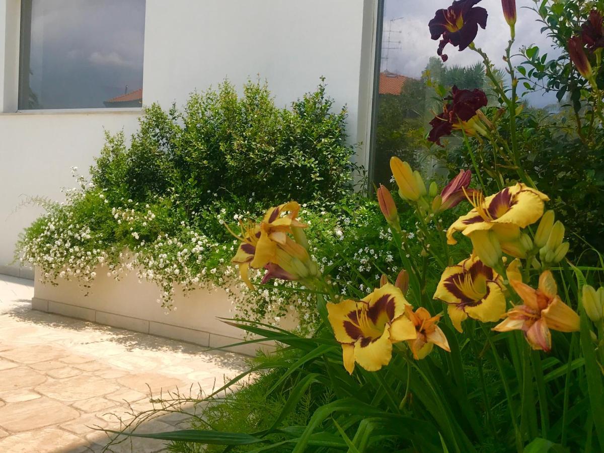 Path House - Etna & Sea View Riposto Exterior foto